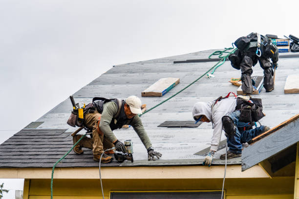 Professional Roofing technician working in Joy, IL